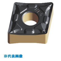 緑であること活動の領域