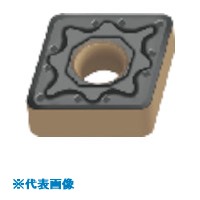 緑であること活動の領域