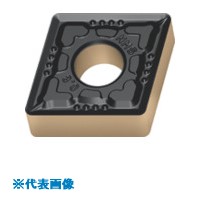 緑であること活動の領域