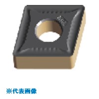 緑であること活動の領域