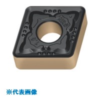 緑であること活動の領域