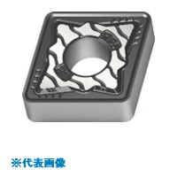 緑であること活動の領域
