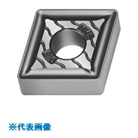 緑であること活動の領域