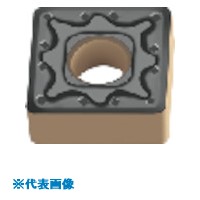 緑であること活動の領域