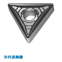 緑であること活動の領域