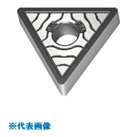緑であること活動の領域