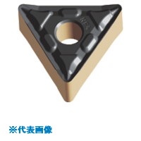 緑であること活動の領域