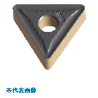 緑であること活動の領域
