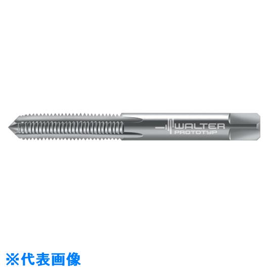 ■Prototyp マシンタップ 81311M8X1(8027392)[送料別途お見積り][法人限定][掲外取寄]