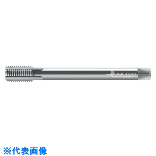 ■Prototyp マシンタップ 8136310M12X1.5(8027395)[送料別途お見積り][法人限定][掲外取寄]
