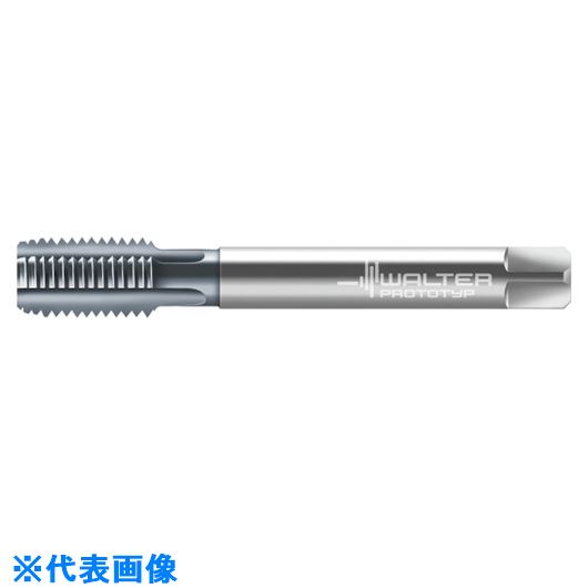 ■Prototyp マシンタップ E2136406M18X1.5(8027791)[送料別途お見積り][法人限定][掲外取寄]