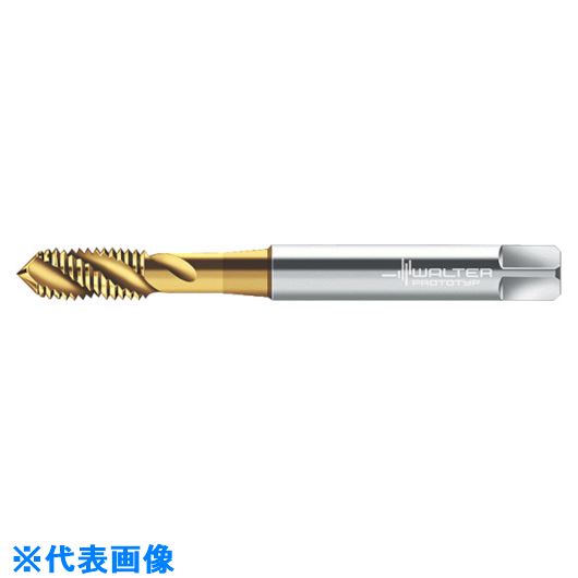 ■Prototyp マシンタップ P2051905M6(8028924)[送料別途お見積り][法人限定][掲外取寄]