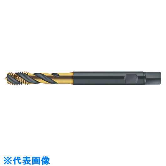 緑であること活動の領域