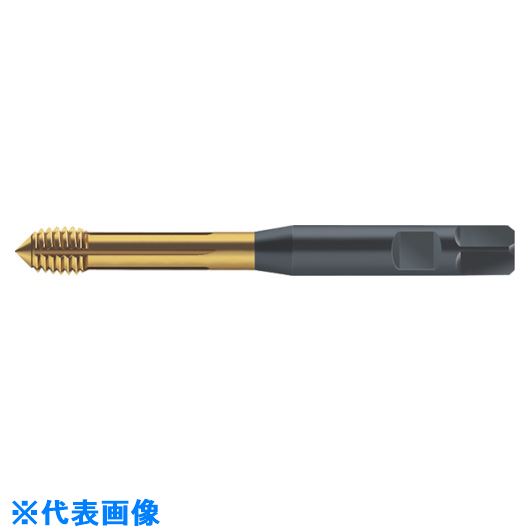 ■Prototyp 転造タップ S2061306M8(8029450)[送料別途お見積り][法人限定][掲外取寄]｜ファーストFACTORY