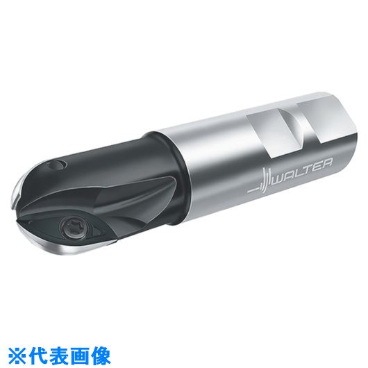 ■Walter ボールノーズカッター F2339.W25.025.Z02.20(8036052)[送料別途お見積り][法人限定][掲外取寄]