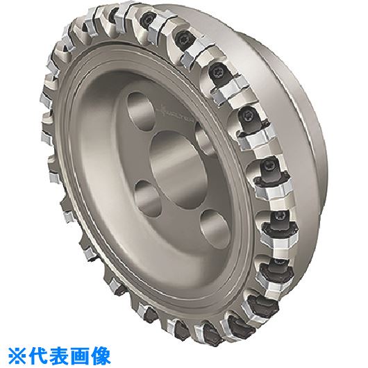 ■Walter ファインピッチカッター F4045.B40.125.Z16.06(8036275)[送料別途お見積り][法人限定][掲外取寄]