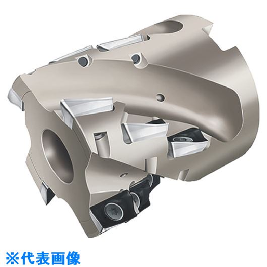 ■Walter ポーキュパインカッター F4238.B22.050.Z03.43(8036537)[送料別途お見積り][法人限定][掲外取寄]