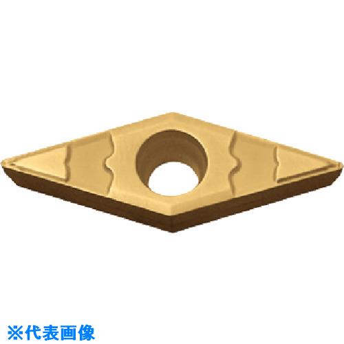 緑であること活動の領域