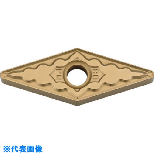 緑であること活動の領域