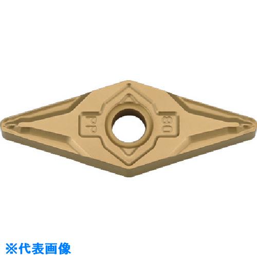 緑であること活動の領域