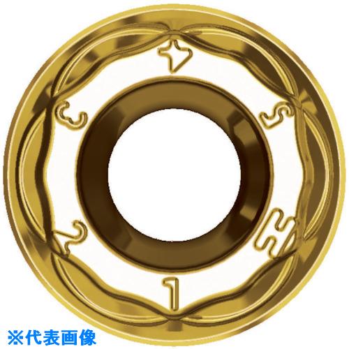 緑であること活動の領域