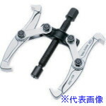 緑であること活動の領域