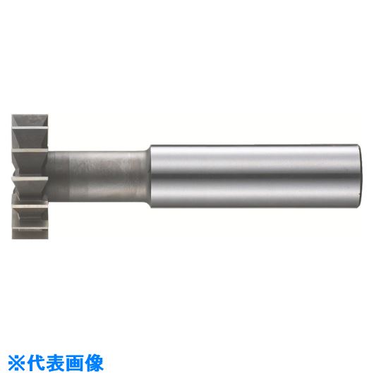 数量は多 Fkd Tスロットカッター16 14 品番 Tc 16x14 Tr 送料別途見積り 法人 事業所限定 掲外取寄 ポイント10倍 Sunbirdsacco Com