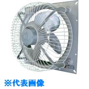緑であること活動の領域