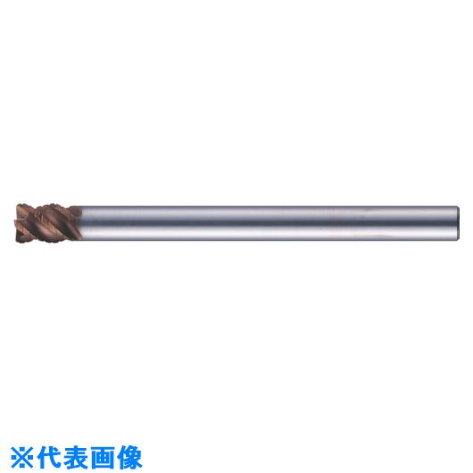 緑であること活動の領域