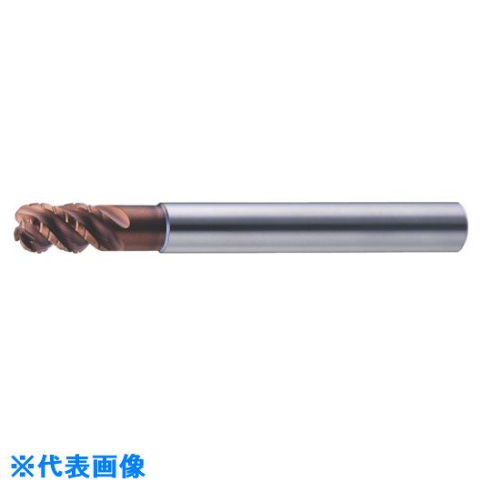 緑であること活動の領域