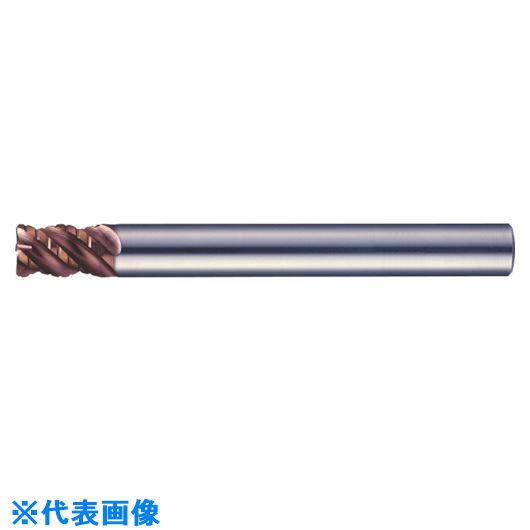 緑であること活動の領域