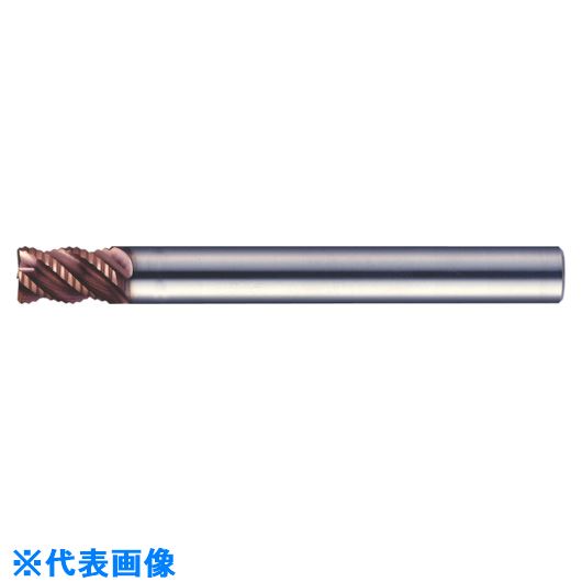 緑であること活動の領域