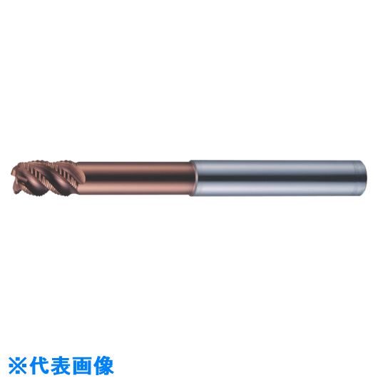 緑であること活動の領域