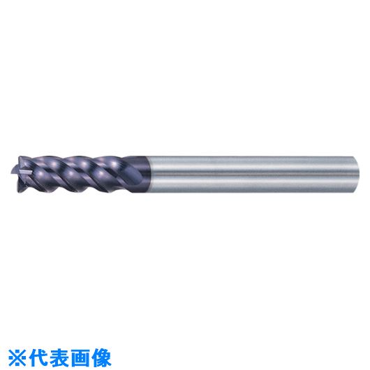 緑であること活動の領域