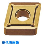 ■MOLDINO バイトヨウチップ CNMG120404-SE GM25 GM25 CNMG120404SE(GM25)(8155789)×10[送料別途お見積り][法人限定][掲外取寄]