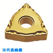 緑であること活動の領域
