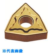 緑であること活動の領域