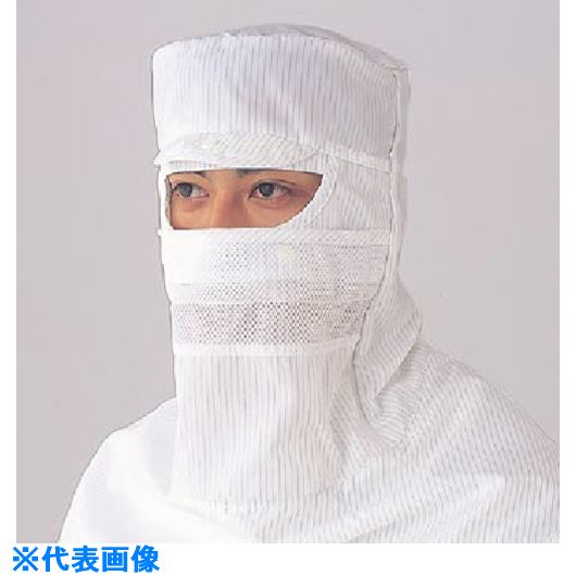 緑であること活動の領域