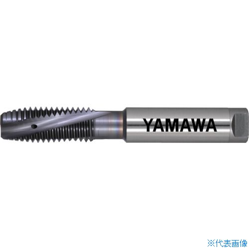 緑であること活動の領域 穴あけ工具用アクセサリー-DIY・工具-電動・エア工具用アクセサリー