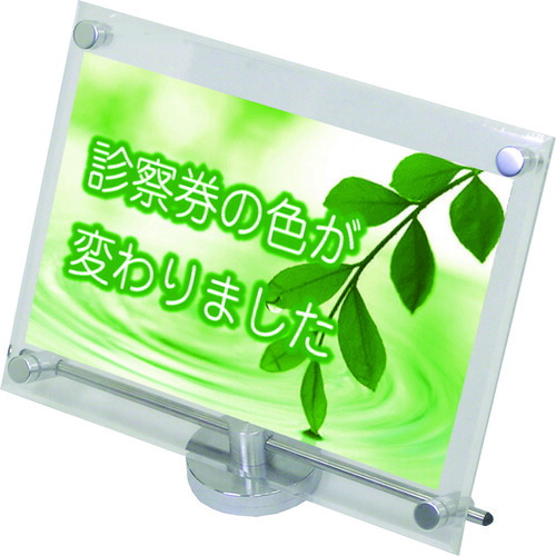 緑であること活動の領域