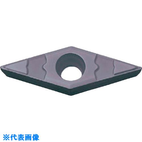 緑であること活動の領域