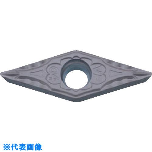 緑であること活動の領域