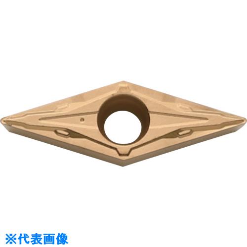 緑であること活動の領域