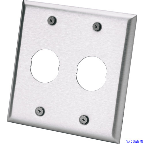 ■PANDUIT ステンレス製フェースプレート IAEFP22G(8257262)&times;10[送料別途お見積り][法人限定][掲外取寄]｜ファーストFACTORY
