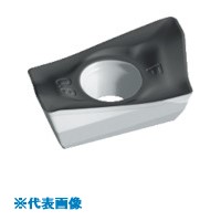 緑であること活動の領域