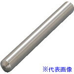 ■ナカニシ ダイヤ単石ドレッサー 100×軸φ11 3/4ct 57553(8338179)