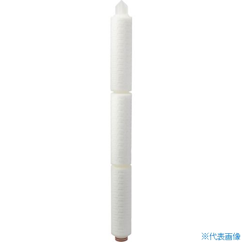 緑であること活動の領域