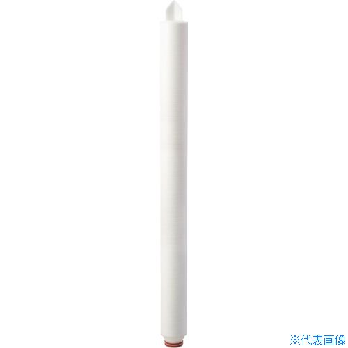 緑であること活動の領域