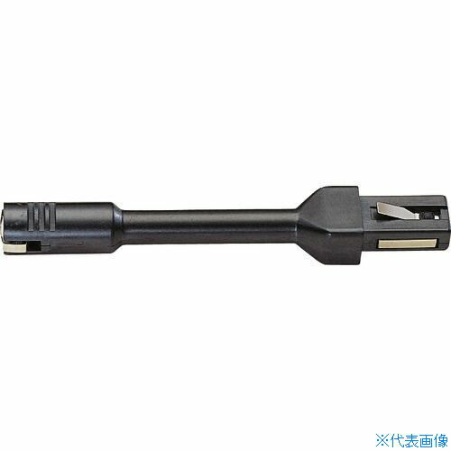 緑であること活動の領域