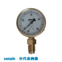 ■RIKEN 圧力計 AS100100M(8383458)[送料別途お見積り][法人限定][外直送]｜ファーストFACTORY